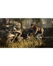 Days Gone [PS4]