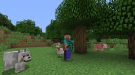 Minecraft Starter Collection [PS4]
