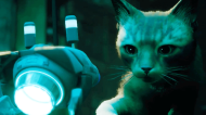 Stray [NINTENDO SWITCH]