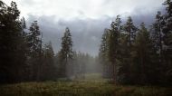 Hunting Simulator 2 [PS5]