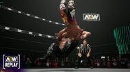 All Elite Wrestling (AEW): Fight Forever  [PS5]