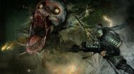 NIOH Collection [PS5]